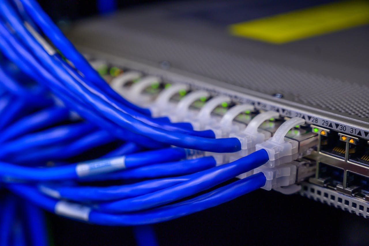 Blaue Netzwerkkabel an einem Patchfeld